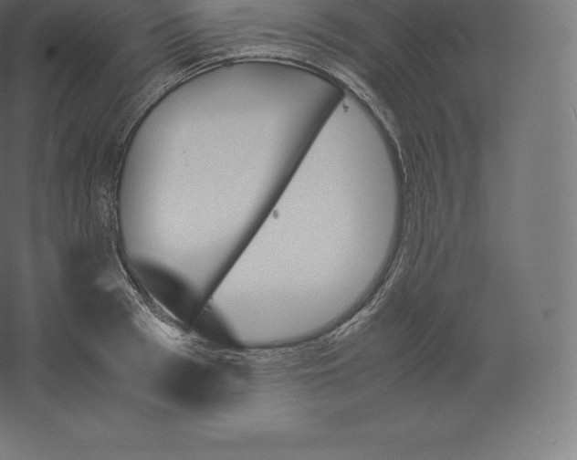 X0000060250993200511241356