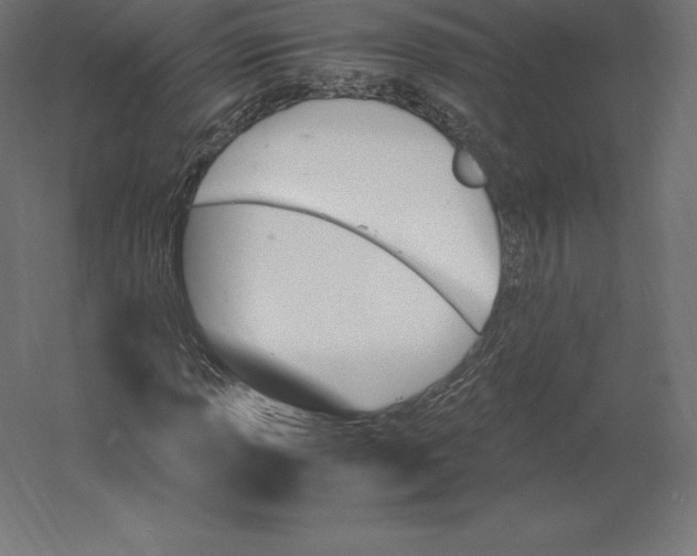 X0000060251013200511241355