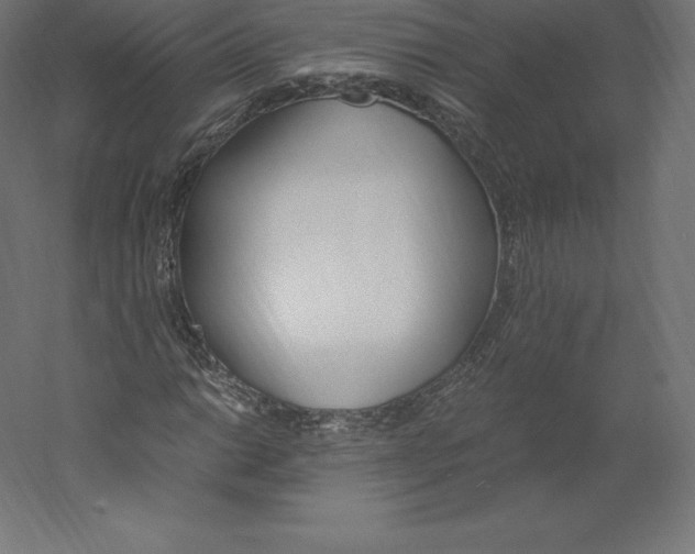 X0000060251014200511241355