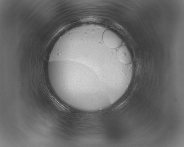 X0000060251017200511241355