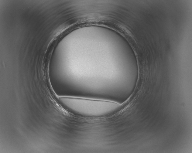 X0000060251018200511241355