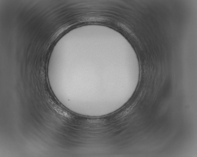 X0000060251025200511241355