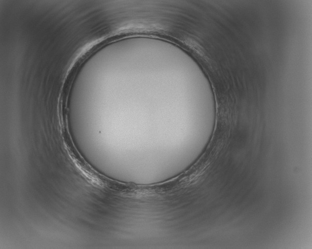 X0000060251030200511241355
