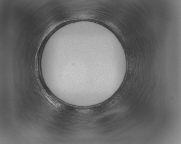X0000060251031200511241355