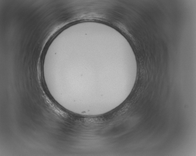 X0000060251032200511241355