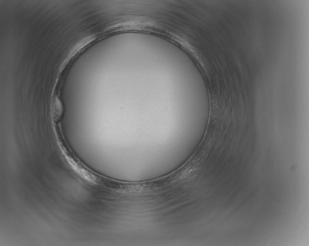 X0000060251042200511241355