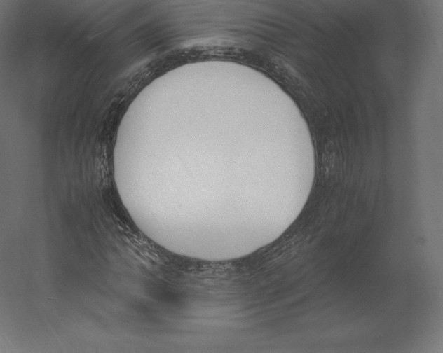 X0000060251062200511241354