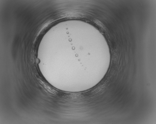X0000060251067200511241354