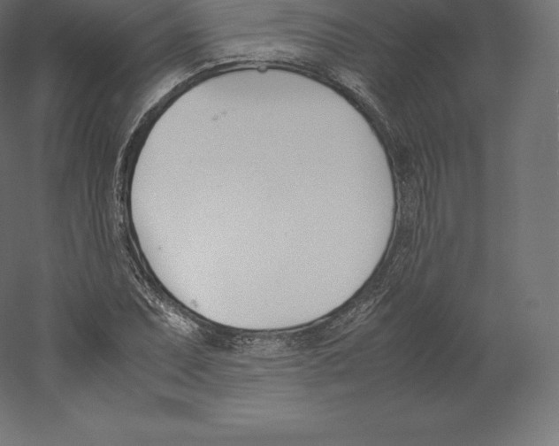 X0000060251071200511241354
