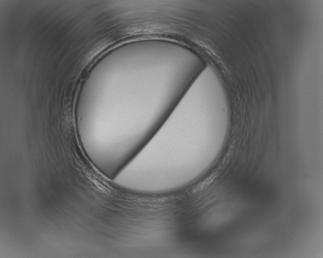 X0000060251073200511241354