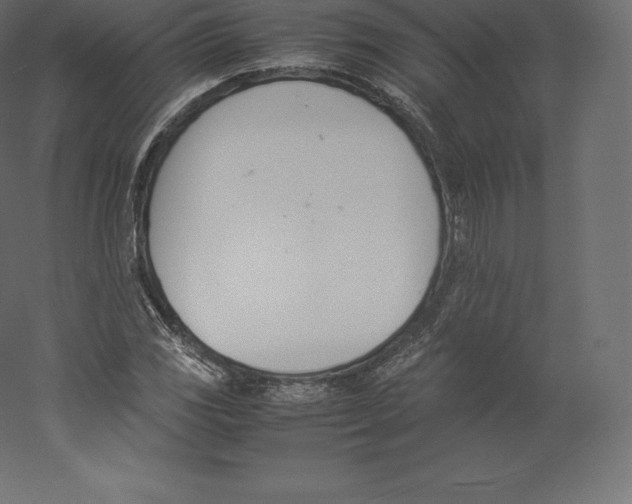 X0000060251117200511241353