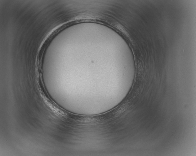 X0000060251124200511241353