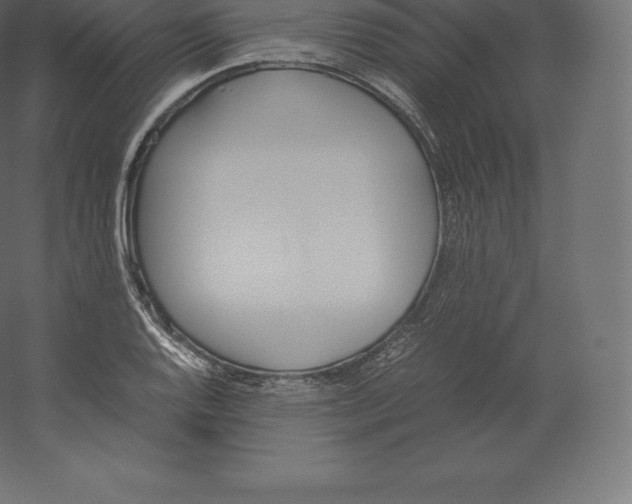 X0000060251128200511241353