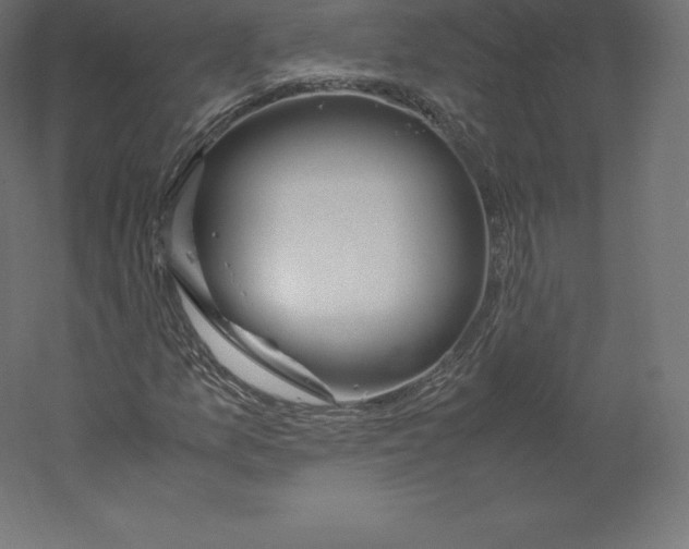 X0000060251157200511241353