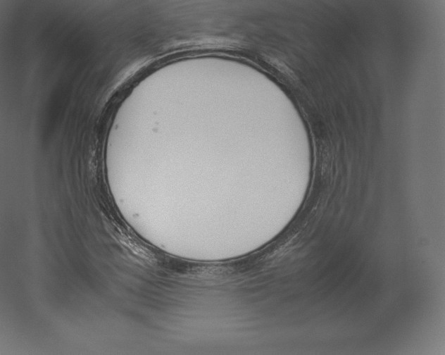 X0000060251163200511241353