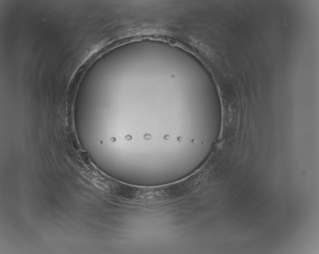 X0000060251165200511241353