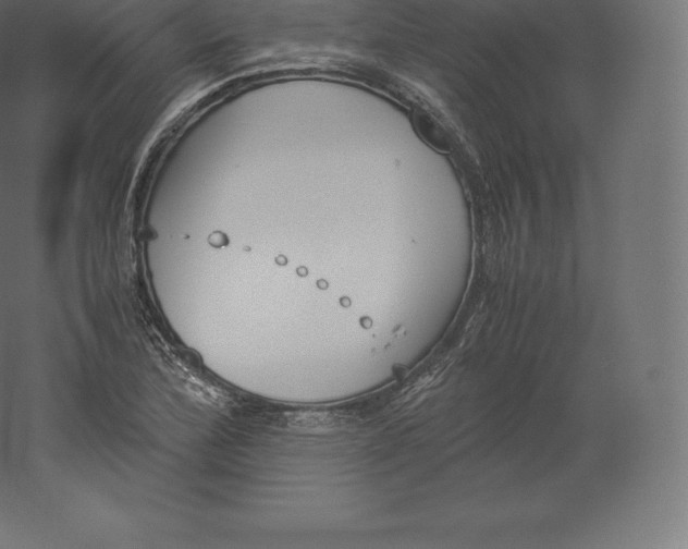X0000060251172200511241352