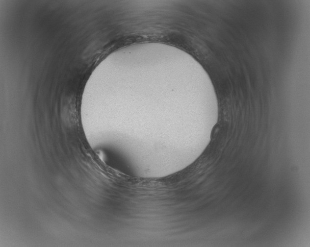 X0000060251298200511241349