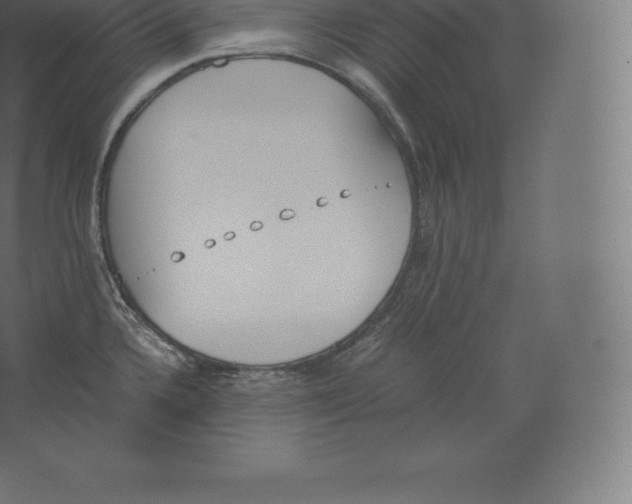 X0000060251336200511241350