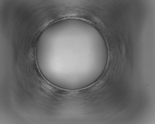 X0000060251353200511241349