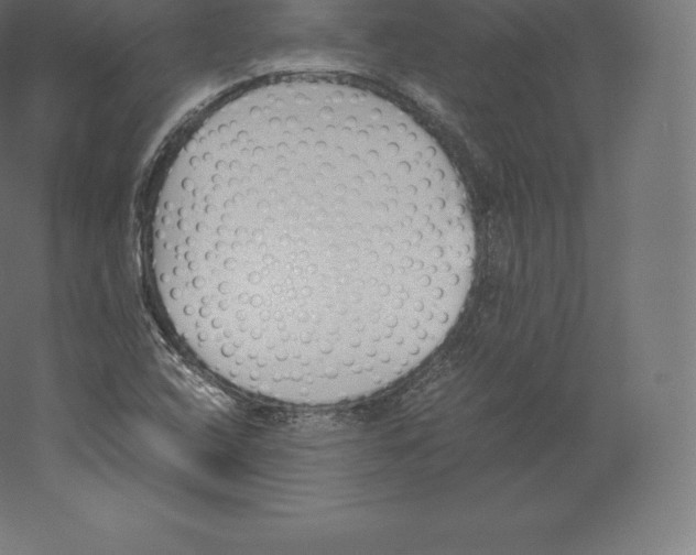 X0000060251408200511241348
