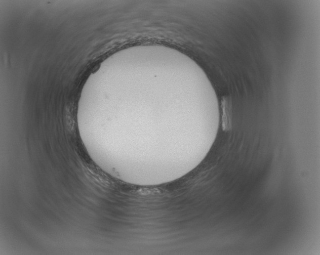 X0000060251491200511241346