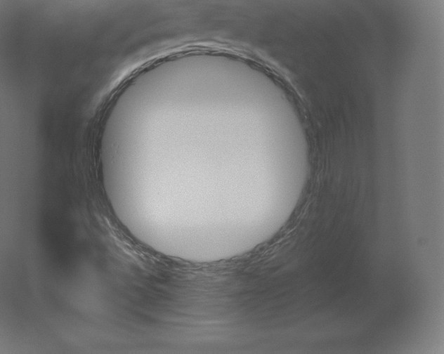 X0000060251496200511241346