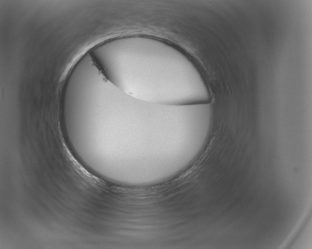 X0000060251500200511241346