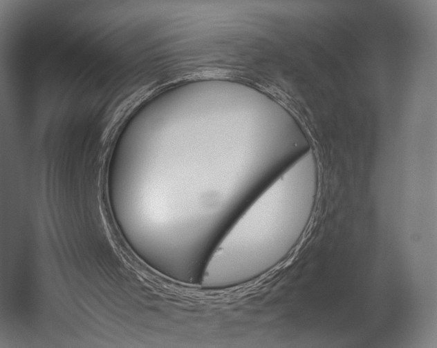 X0000060260001200510281021