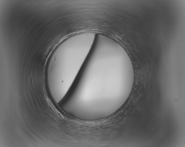 X0000060260002200510281021