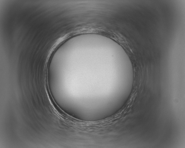 X0000060260003200510281021