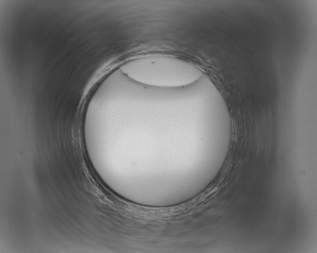 X0000060260004200510281021