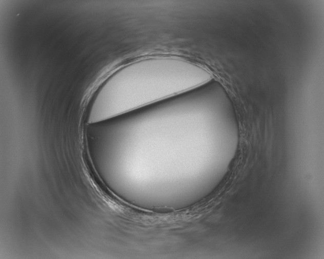 X0000060260005200510281021