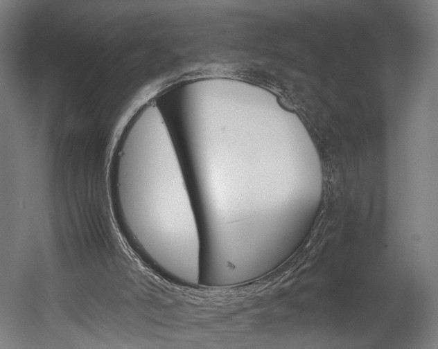 X0000060260006200510281021