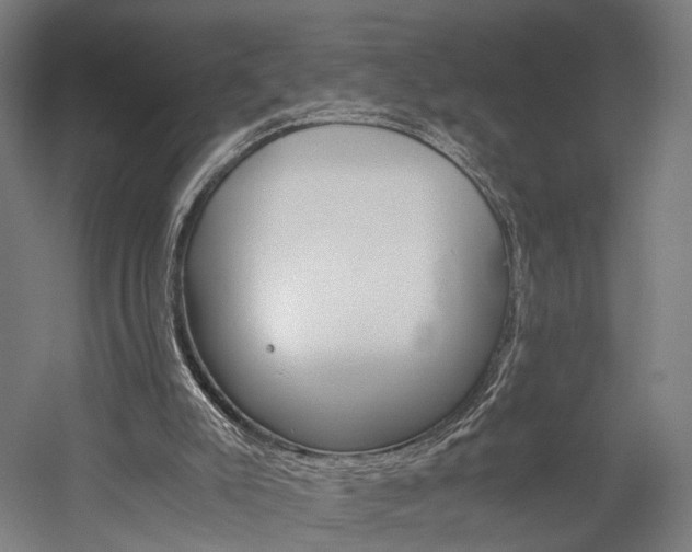 X0000060260007200510281021