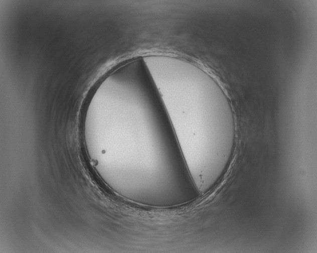 X0000060260008200510281021