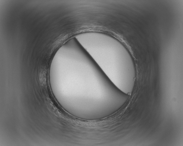 X0000060260010200510281021