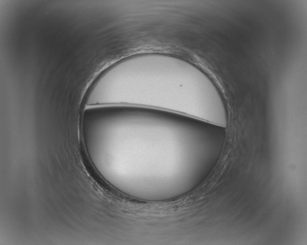 X0000060260011200510281021