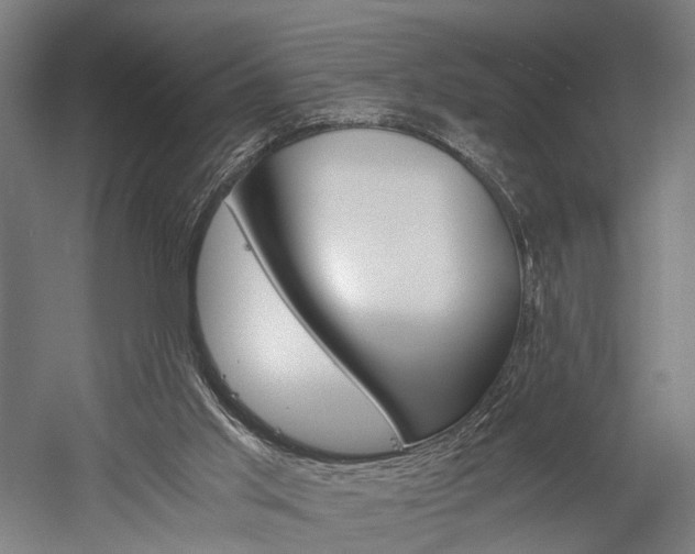 X0000060260013200510281021