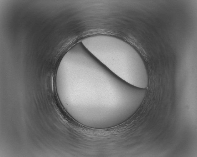 X0000060260014200510281021