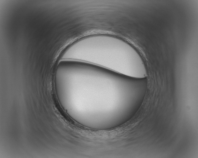 X0000060260015200510281021