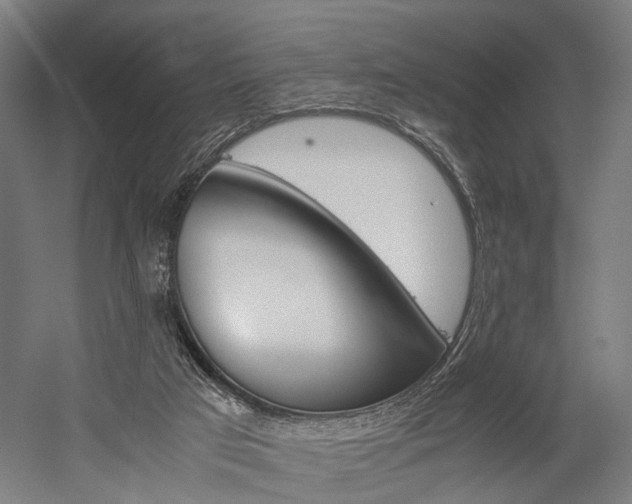 X0000060260017200510281021