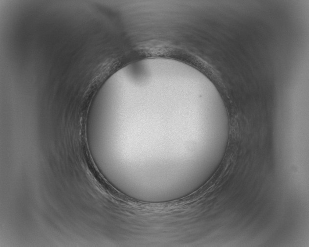 X0000060260018200510281021