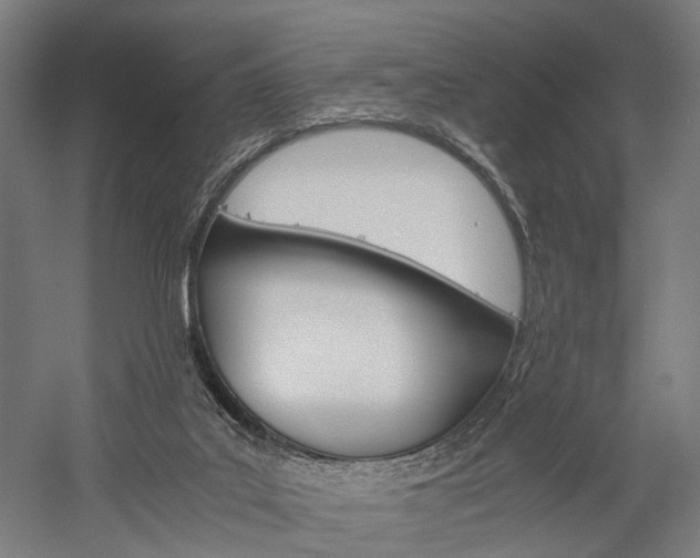 X0000060260019200510281021