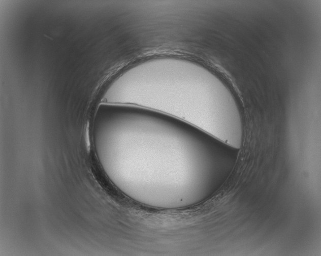 X0000060260020200510281021