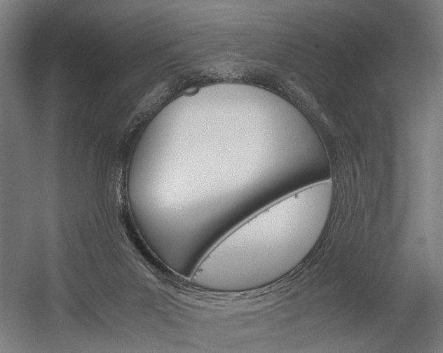 X0000060260023200510281020