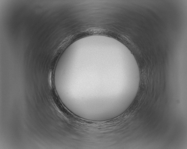 X0000060260024200510281020