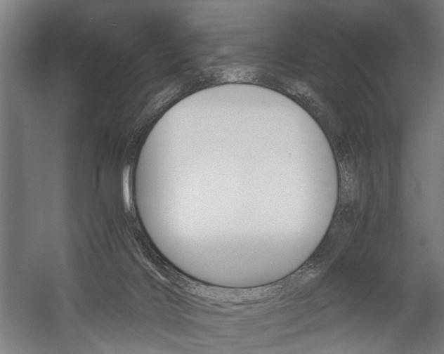 X0000060260028200510281020