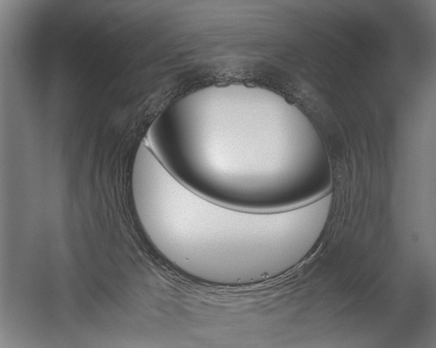 X0000060260029200510281020