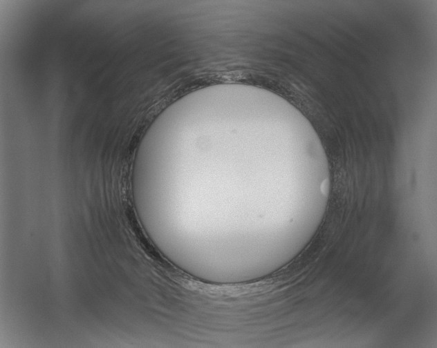 X0000060260030200510281020